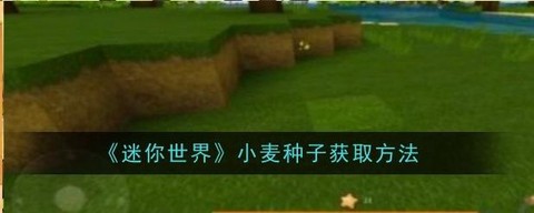 迷你世界小麦怎么喂[图1]