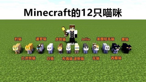 我的世界猫怎么驯服[图2]