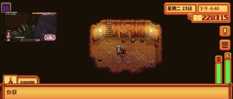 星露谷物语怎么摸动物[图1]