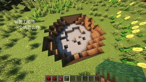 我的世界沼泽怎么做[图2]