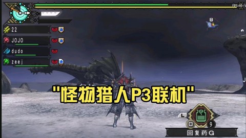 怪物猎人3怎么联机[图2]