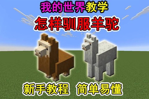 我的世界羊驼有什么用[图1]