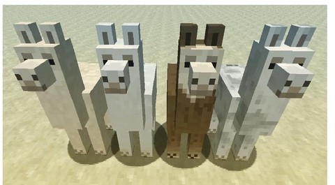 我的世界羊驼有什么用[图2]