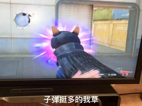 穿越火线猫猫怎么玩[图1]