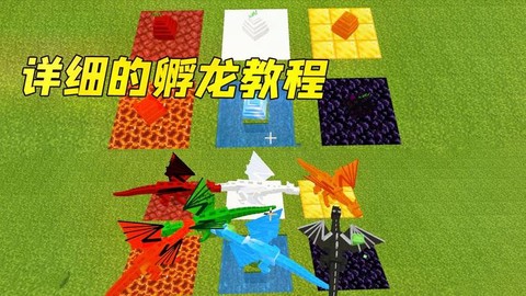 我的世界怎么做龙王[图2]